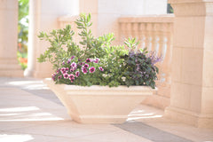 Square Garden Bowl